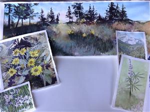 watercolor paintings 