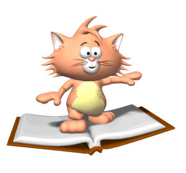 cat cat